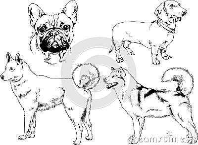 Vector drawings sketches pedigree dogs and cats drawn in ink by hand Vector Illustration